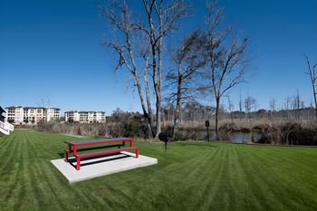 Mandarin bay - picnic area